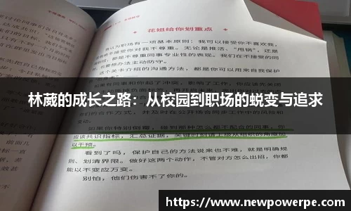 WE真人视讯官网
